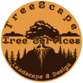 TreeScape Tree Services, Landscape & Design